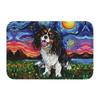 Custom Starry Night Dachshund Dog Doormat Anti-Slip Entrance Kitchen Bathroom Floor Door Mats Bedroom Balcony Carpet Rug