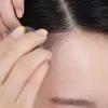 Pang Pang Hair Shadow 1 Piece / Hair Cover / Gray Hair Cover / Hair Cushion