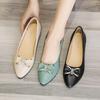 Sapatos femininos casuais de bico fino com boca rasa, salto baixo, salto grosso e sola plana de couro macio na primavera e no outono