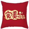 Modern Chinese Wedding Pillow Short Plush Double-sided Wedding Sofa Cushion Cover Wedding Room Red Festive Pillow
