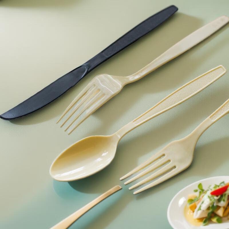 JINGRX Disposable Frosted Plastic Fork