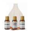 Aroma Folk Diffuser + Oil Set Aromatherapy Institute - Safe, Quiet, Moisturizing, Supports Restful Sleep and Breathing Comfort 130