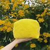 Pure Color Makeup Bag Large Capacity Travel Organizer Versatile Storage Bag  Travel Use