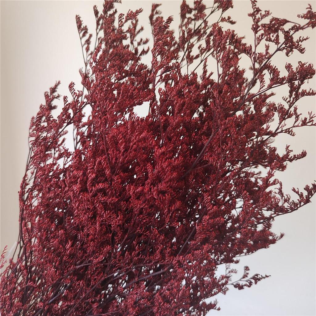 Everlasting White Dried Baby's Breath Flowers for Home Decor and Photography