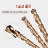 Hangshi Straight Shank Twist Drill Bit Set