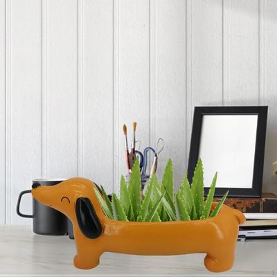 Bahçe Saksıları ve Kutuları – Fide viyolleri