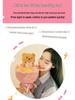 Butter Gift Box Bear Bouquet: Cute Plush Doll for Valentine's Day Girlfriend Gift