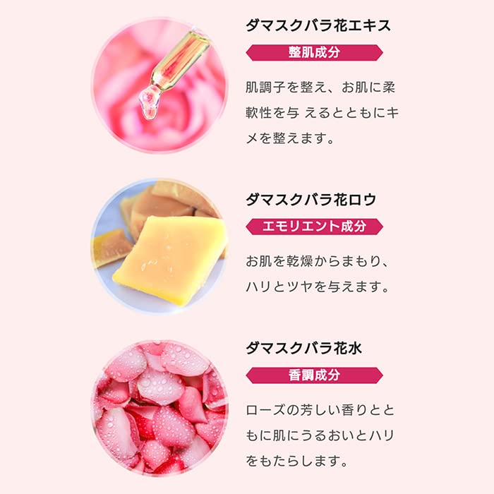 Steam Rose Absolute Bottle 300g in STEAMCREAM Moisturizing Cream for Whole Body Body Cream Hand Cream Oatmeal Rose [Official Cream] [Made Japan]
