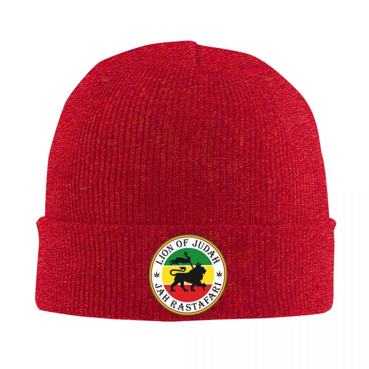 Rasta Lion Of Judah Star Of David Warm Knitted Cap Winter Knit Bonnet Hat Skullies Beanies Hip Hop Caps for Unisex One Size