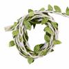 DIY Natural Leaf Vine Ribbon for Crafts and Decorations.