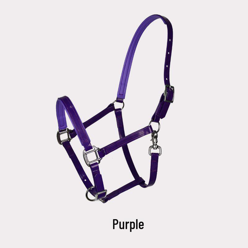 TPU Adjustable Durable Horse Halter and Leading Equipment