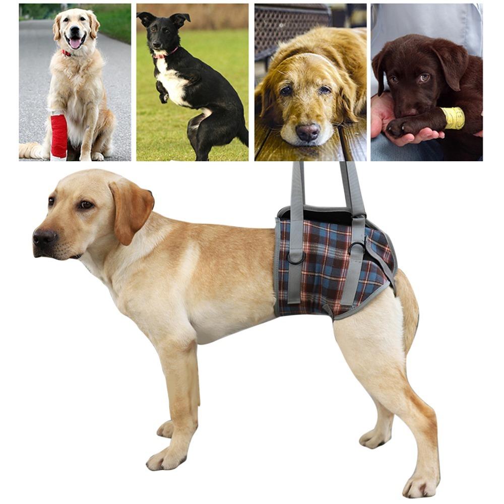 Multi Color Pet Rear Leg Assist Sling Disabled Dog Mobility Strap  Lame Leg Daily Support