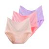 3 Pieces Plus Size Briefs Women's Lingerie Cotton Undies Underwear Breathable Panties Underpants L XL 2XL 3XL 4XL Fit 40-100kg
