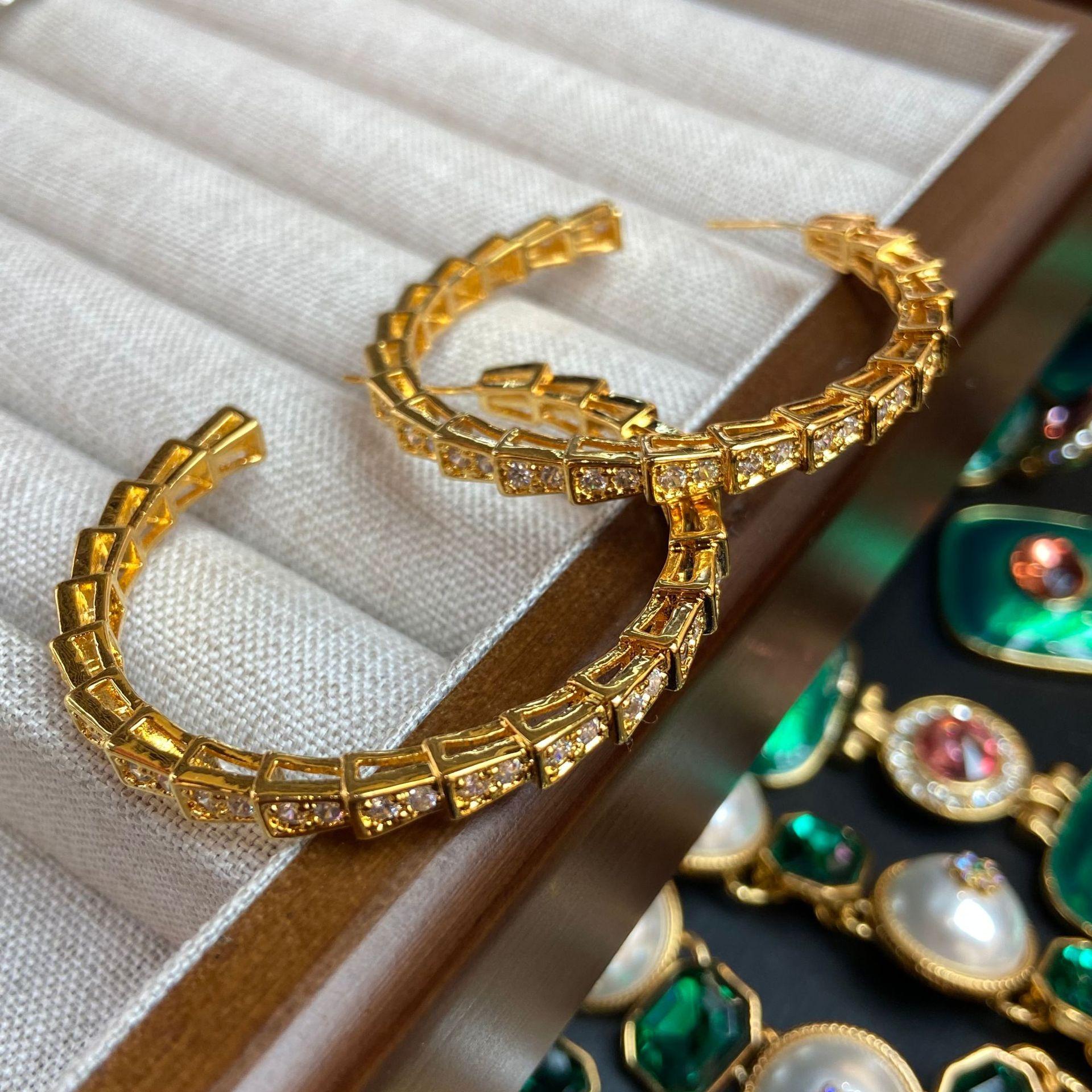 Light Luxury Full Diamond Snake Earrings Snake Bone Section High-End Niche Design C Ring Earrings Cold Wind Earrings