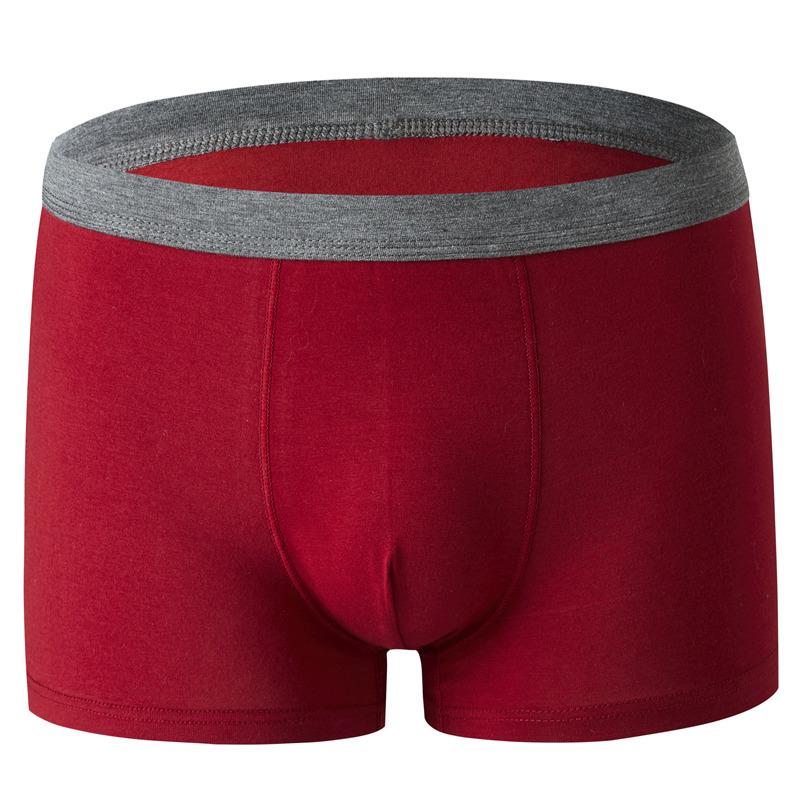 Large Size Men's Spring and Summer Cotton Youth Mid - Waist Flat Angle Underwear