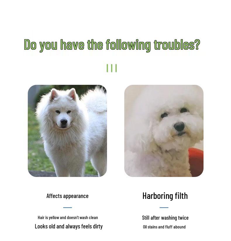 Pomeranian & Samoyed Whitening Shampoo for White Dogs