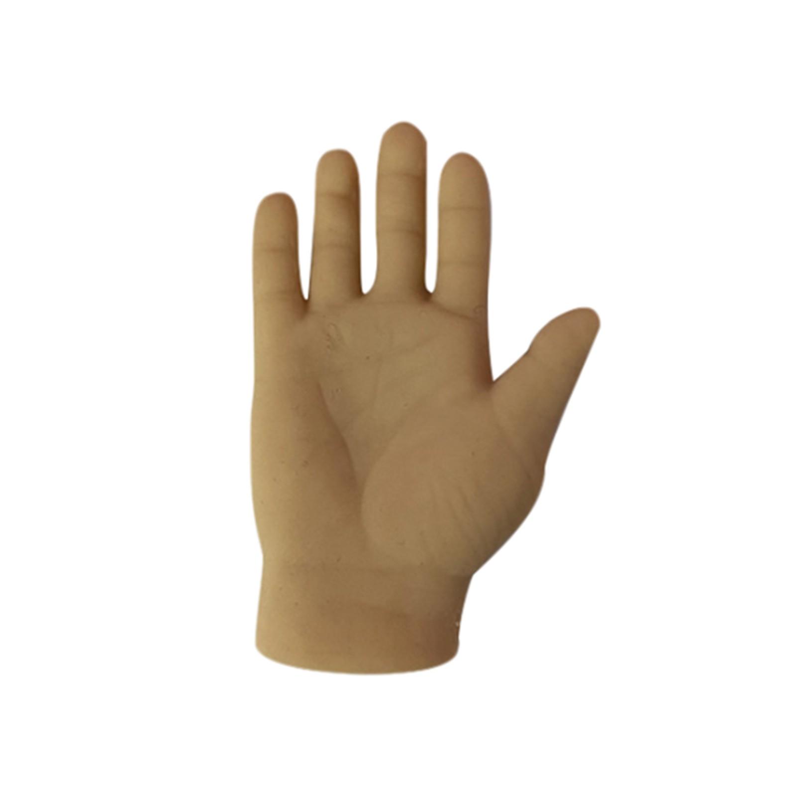 

Перчатки для дразнения кошек, палочки для дразнения кошек, перчатки для пальцев кошек, поглаживание кошек, высокая эластичность One Size