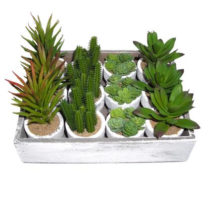 12-Piece Mini Cactus Assortment Set, Faux Greenery, Perfect for Home Decor, Desks, Kitchen Counters, and Store Decor. Perfect for Everlasting Plants.