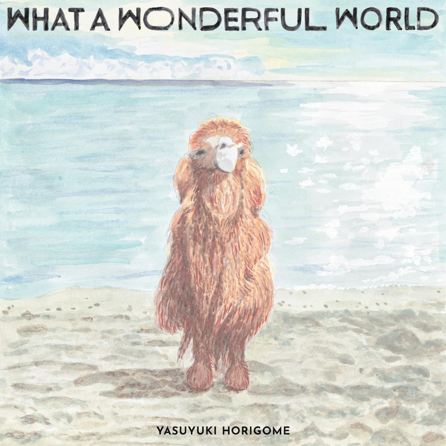 

LP Record YASUYUKI HORIGOME - What A Wonderful World COJA9339 NIPPON COLUMBIA 2018 Japan Japanese Pop/Rock