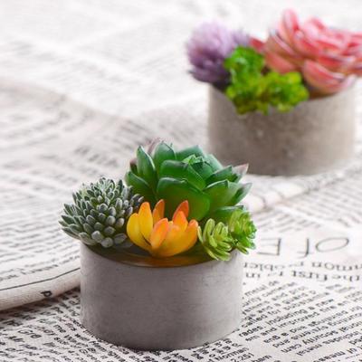 6 Holes Concrete Planter Molds Homemade Succulent Plants Pot Silicone Mold