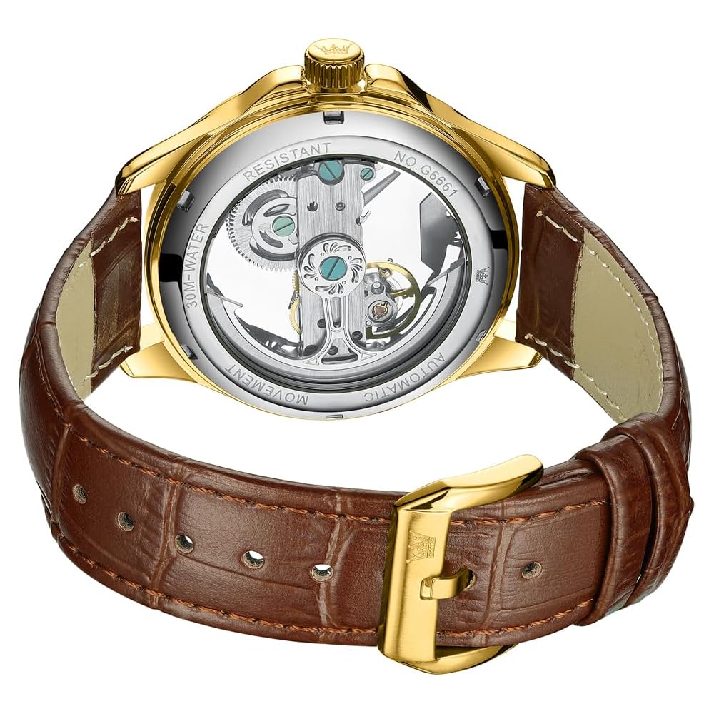 OLEVS Men's Mechanical Automatic Skeleton Watch Brown Black Leather Strap Waterproof Fashion Timepiece