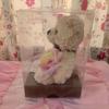 [USED] Teddy Bear Stuffed Animal Interior Preserved Flower Gift Celebration
