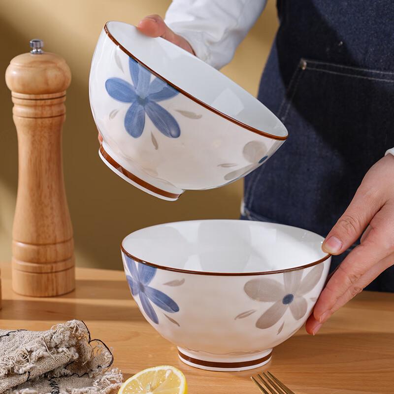 Hegawaya Japanese Ceramic Noodle & Rice Bowl Set