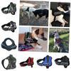 Premium Quality Pet Chest Harness And Leash For Medium To Large Dogs Adjustable Durable And Stylish