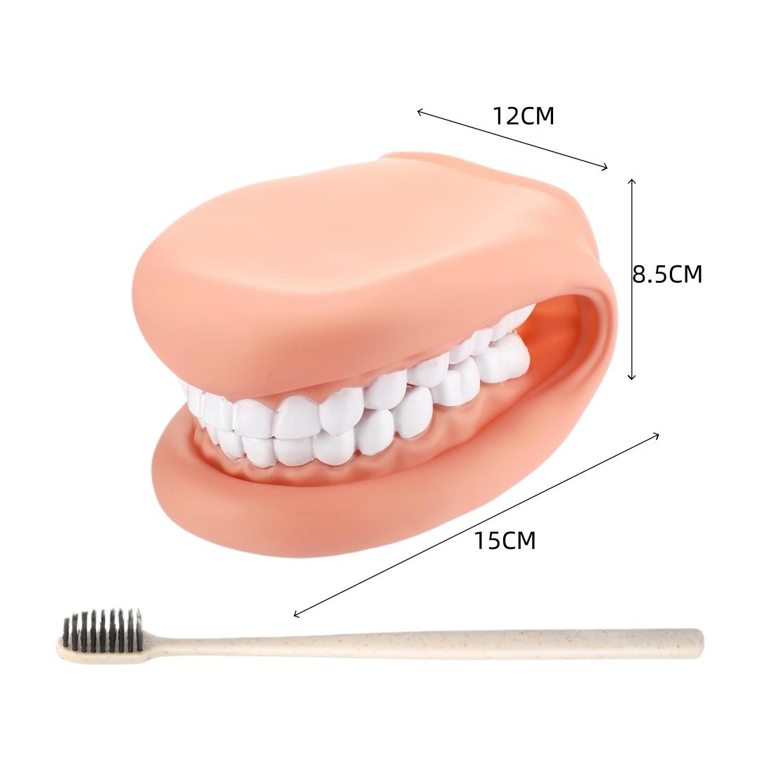 Dental Teeth Care Model Mouth Puppet with Tongue Soft Silicone Teeth Demonstration Model Brushing Oral Model Dental Education