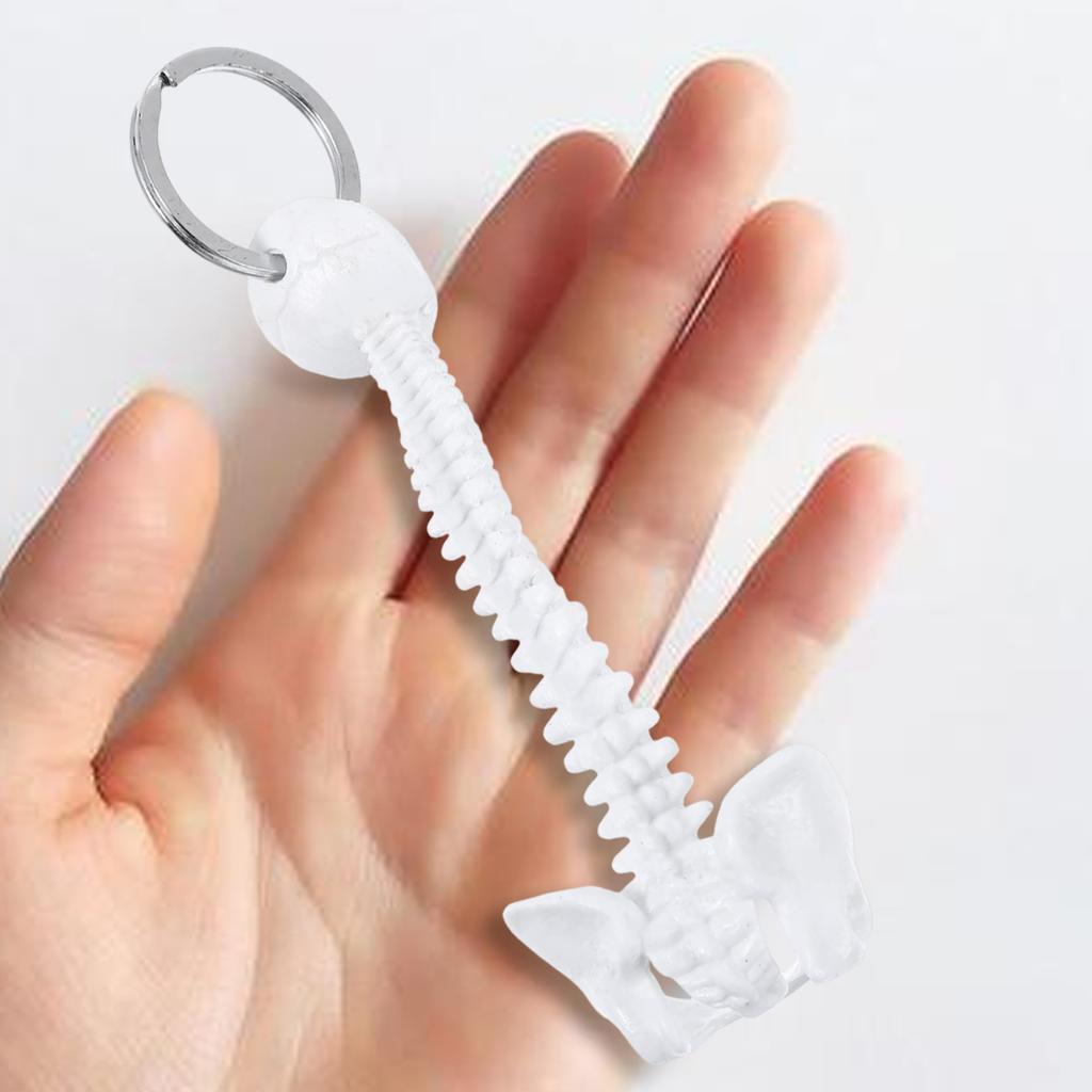 Miniaturní klíčenka s kostrou lidské páteře pro výukovou pomůcku, dekorativní anatomický model, ručně vyrobený přívěsek na klíče od auta