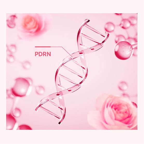 Real Barrier PDRN Serum Naprawcze Rozświetlające 30ml
