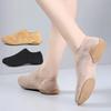Baskets Chaussures de Danse Classique Femmes Chaussures d'Entraînement Souples Adulte Professeur Chaussure de Cheerleading Chaussures de Ballet d'Extérieur Yoga Danse du Ventre