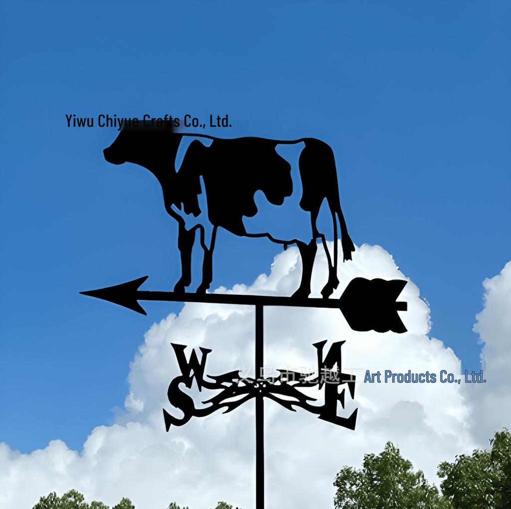 Weather Vane Ornament: Outdoor Wrought Iron Spray-Painted Roof Decoration Metal Craft