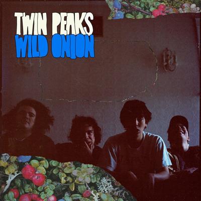 CD TWIN PEAKS  Wild Onion COMM122 COMMUNION 2014 UK Rock Used