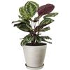 Pot de fleurs rond - GARDEN ID - Swing Cone - Ø 35 - 23 L - 34 cm - Pierre