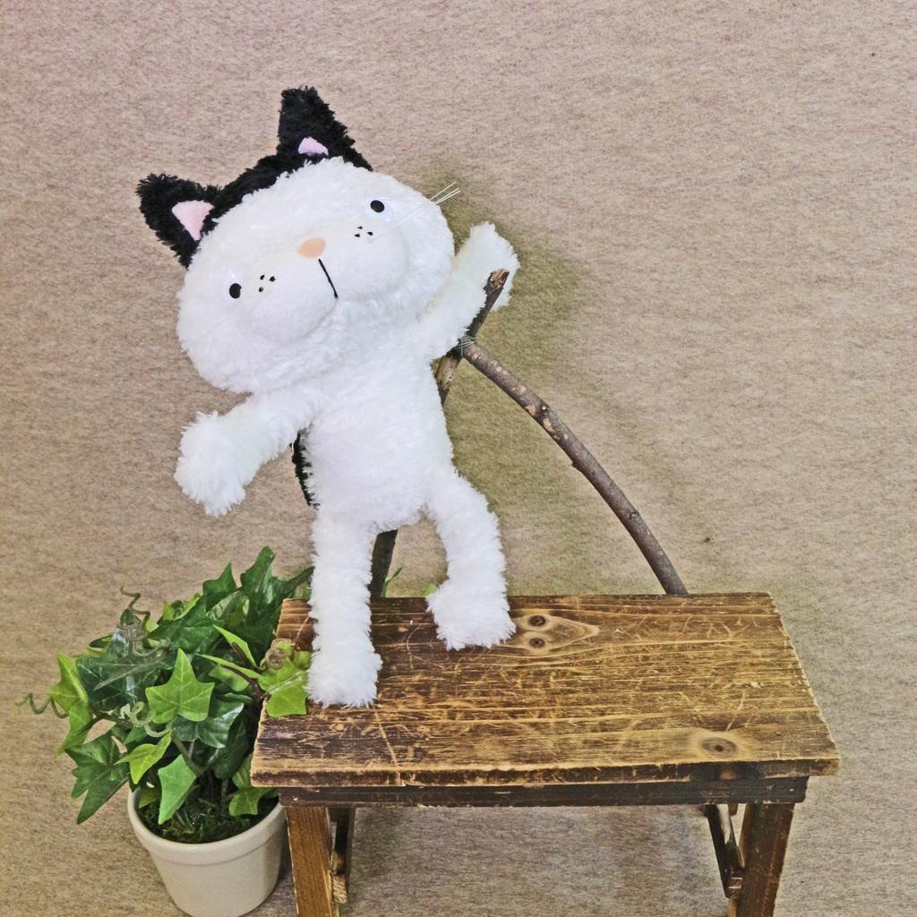 Shinada Plush Toy - Flat Cat with Bangs