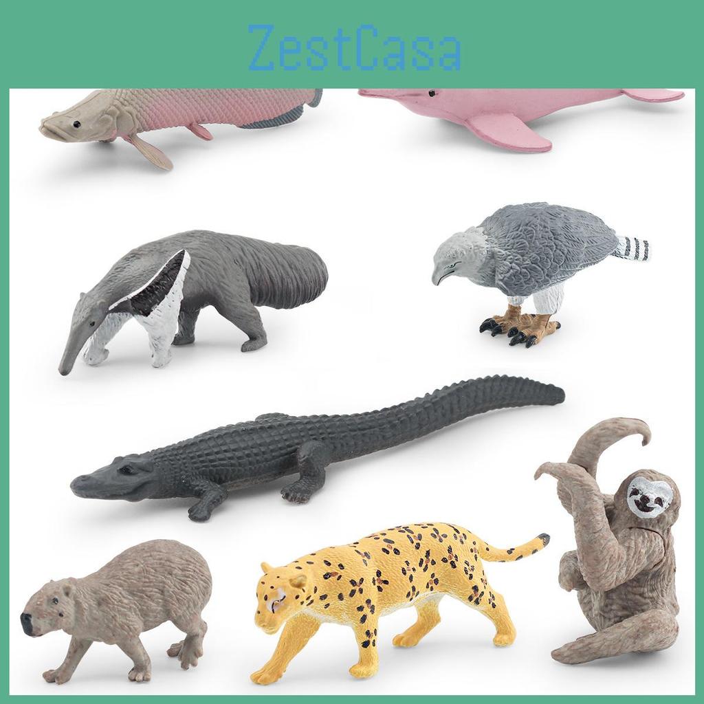 Crocodile Dolphin South American Animal Model Set Wildlife Display For Educational Use