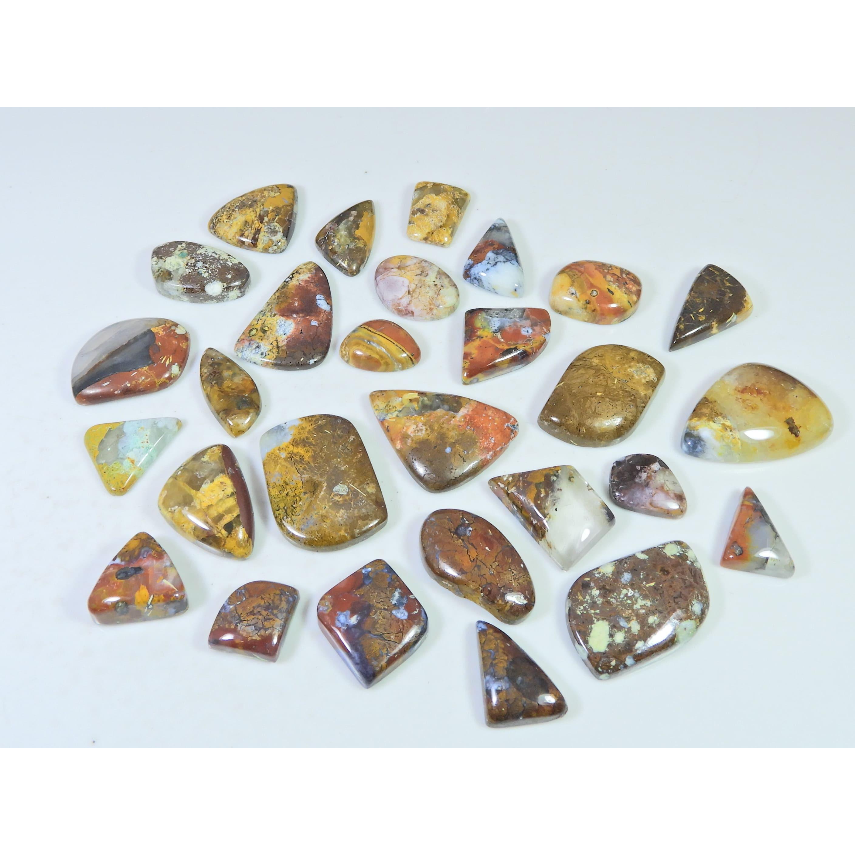 335Cts. Natural Forest Agate Fancy Cabochon Loose Gemstone 28 Pcs Lot C-1944