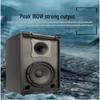 Shile BX-109 8-inch Professional Passive Speaker (CN version)