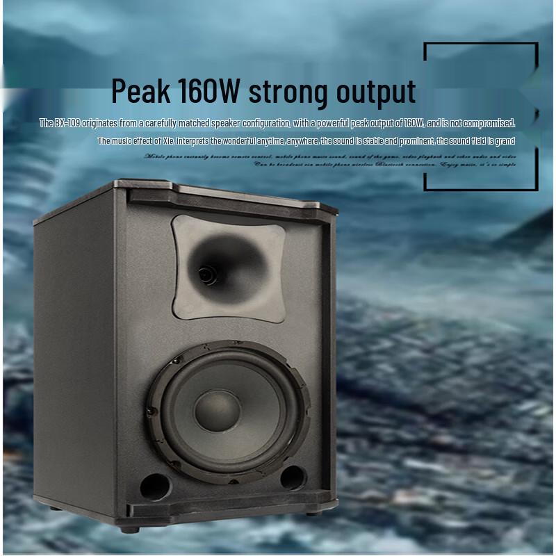 Shile BX-109 8-inch Professional Passive Speaker (CN version)