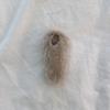 APIOH FUR HAIRPIN