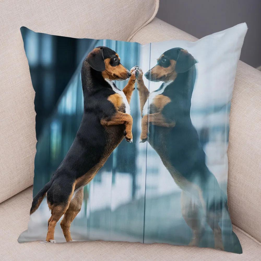 Mini Dackel Hund Kissenbezug Dekor Haustier Tier Kissenbezüge Superweicher Plüsch Kissenbezug für Sofa Zuhause Kinderzimmer 45x45cm