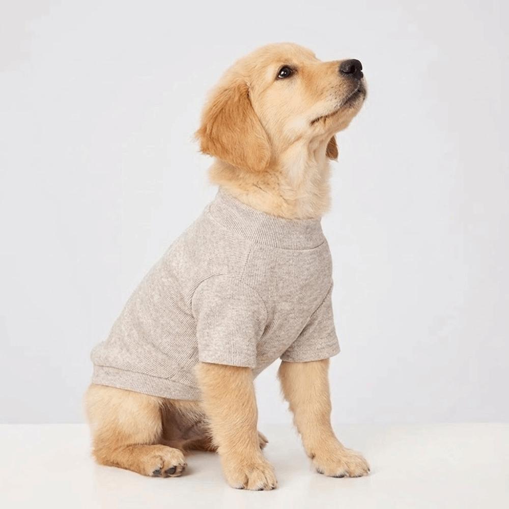 Soft Keep Warm Winter Dogs Sweater Solid Color Comfortable Texture Dogs Undershirt Dachshund Dogs Pet Dog Clothes Pet