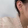 Leaf Stud Earrings for Women - Leaf Shape Earrings for Daily Wear