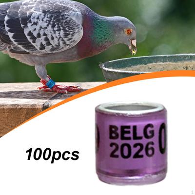 100 Anillos de Identificación de Aluminio para Palomas, Tórtolas, Canarios, Periquitos Y Codornices (2026).