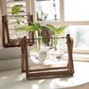 Desktop Glass Vase Wooden Frame Transparent Glass Ball Hydroponic Plant Container Flower Pot Home Bonsai Decor