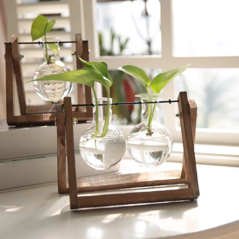 Desktop Glass Vase Wooden Frame Transparent Glass Ball Hydroponic Plant Container Flower Pot Home Bonsai Decor