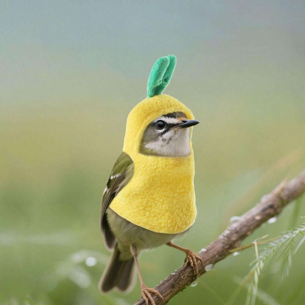 Soft Pineapple Bird Clothes Warm Parrot Cosplay Hoodie Parrot Head Cover Parrot Costume  Pet Show