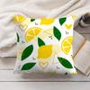 Lemon Pattern Cushion Cover Soft Short Plush Pillow Cover Smooth Cozy Texture Aesthetic Cushion Case Home Decor