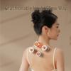 HEZHENG Wellness Gift Set CN plug (adapter included)